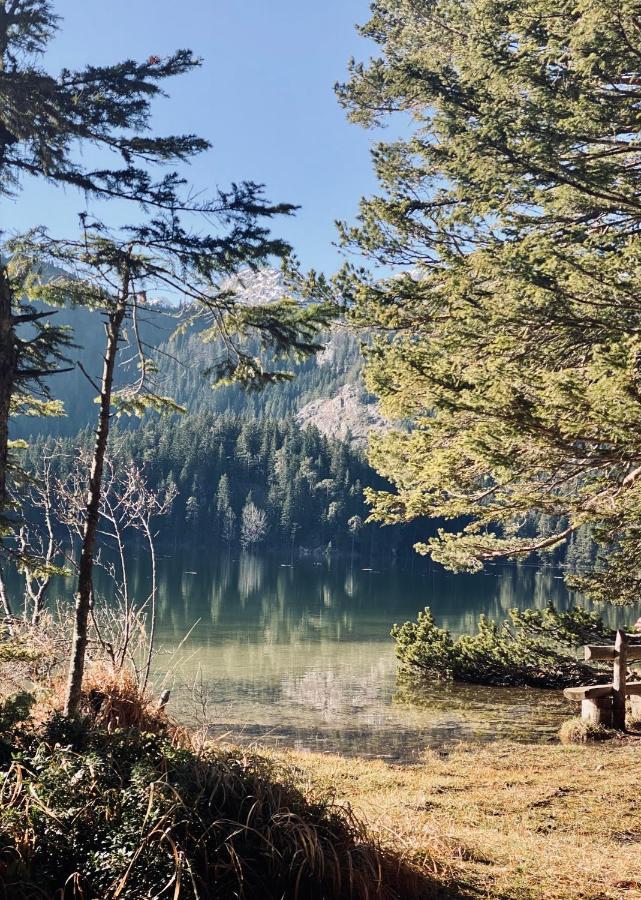 Magia Di Montagna Βίλα Žabljak Εξωτερικό φωτογραφία