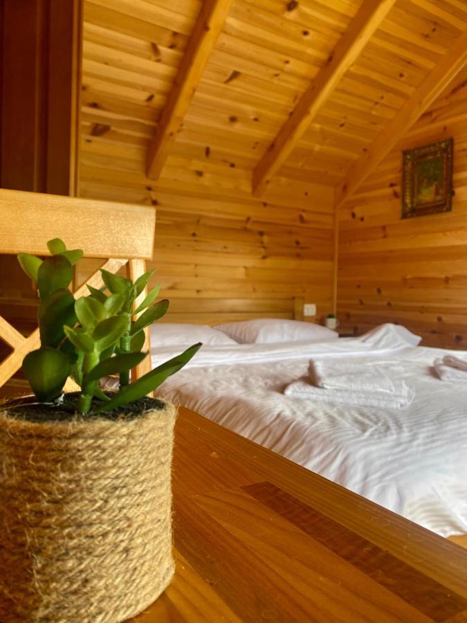 Magia Di Montagna Βίλα Žabljak Εξωτερικό φωτογραφία